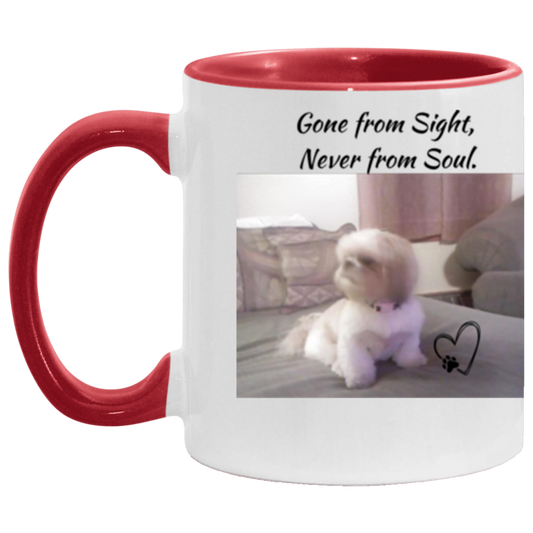 Gone From Sight 11oz Accent Mug